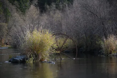 DSC_0224 (Large).JPG